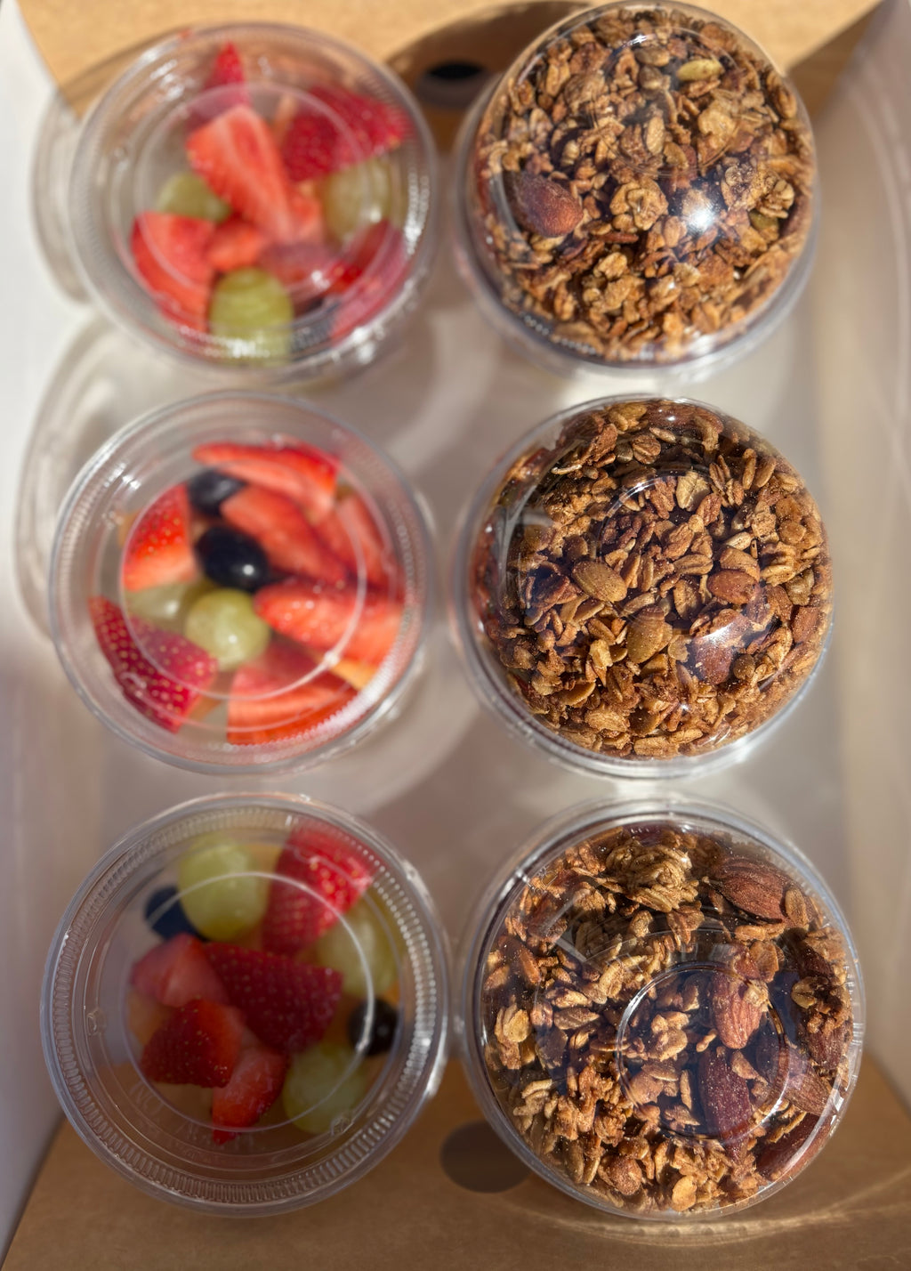 Fruit / Granola Pots